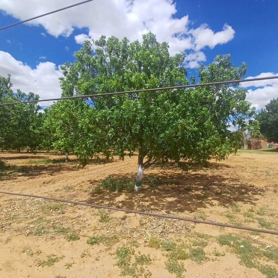 0 Bedroom Property for Sale in Bothaville Rural Free State